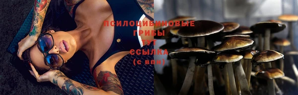 твердый Елабуга