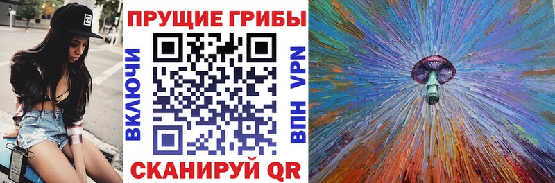 KRAKEN ССЫЛКА  Никольск  Псилоцибиновые грибы GOLDEN TEACHER  цены наркотик 